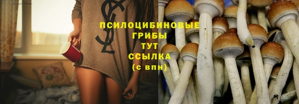 прущая мука Алзамай