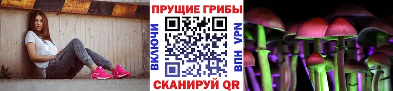 Псилоцибиновые грибы GOLDEN TEACHER Арзамас