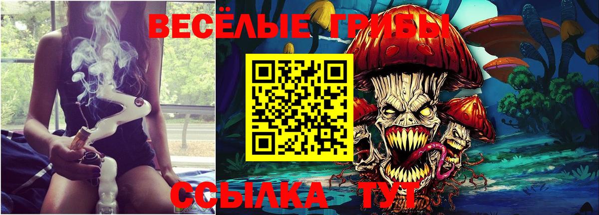 продажа наркотиков  Вход с VPN  Псилоцибиновые грибы мухоморы  Арзамас  Псилоцибиновые грибы Psilocybe 